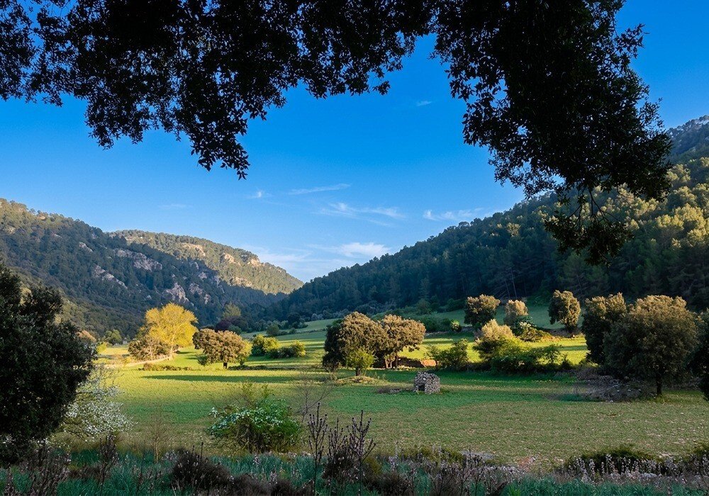 Country House in Bunyola, Balearic Islands, Spain 2 - 14120804