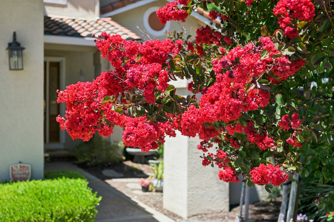 House in Pleasanton, California, United States 4 - 18549133