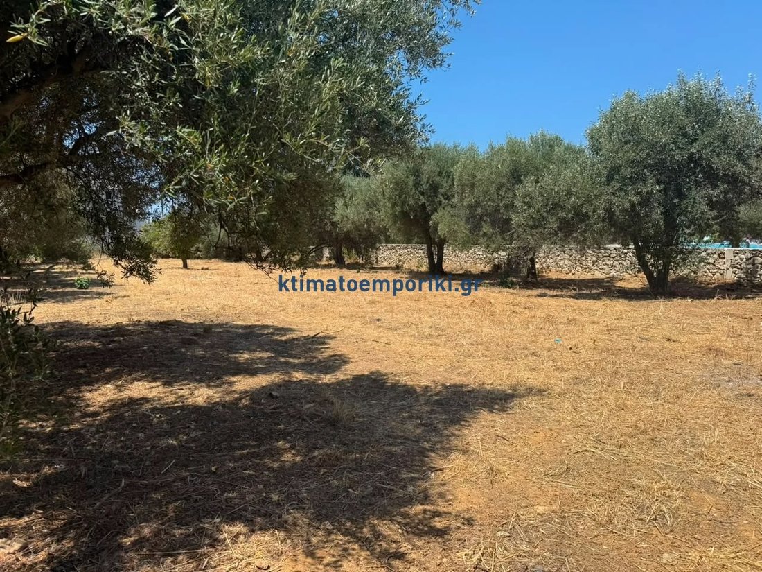 Land in Crete, Greece 3 - 18548239