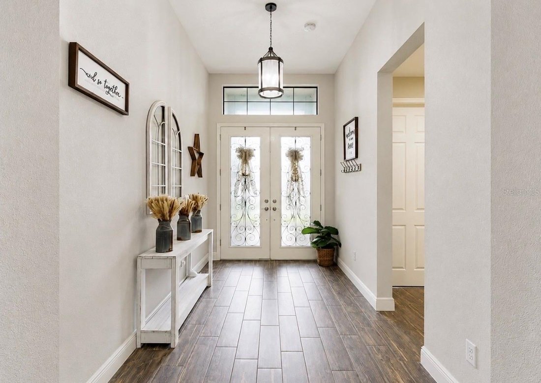 House in Riverview, Florida, United States 5 - 18551538