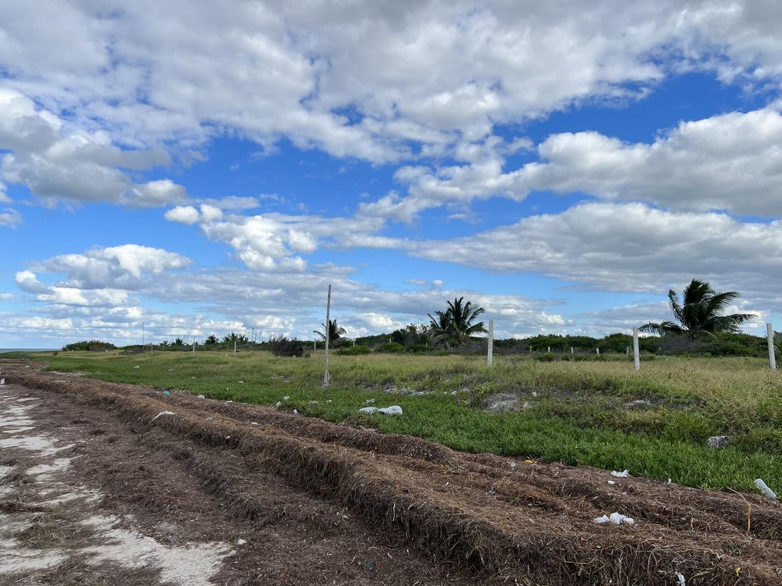 Land in Dzidzantún, Yucatan, Mexico 5 - 18549030