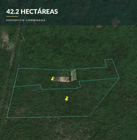 Land in Kanasín, Yucatan, Mexico 2 - 18549276