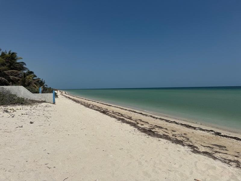 Land in San Benito, Yucatan, Mexico 1 - 18549269