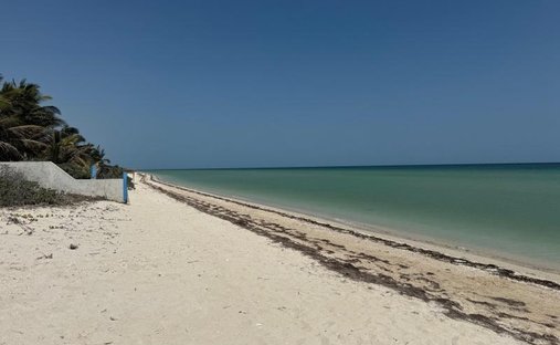 Terreno a San Benito, Yucatán, Messico 1