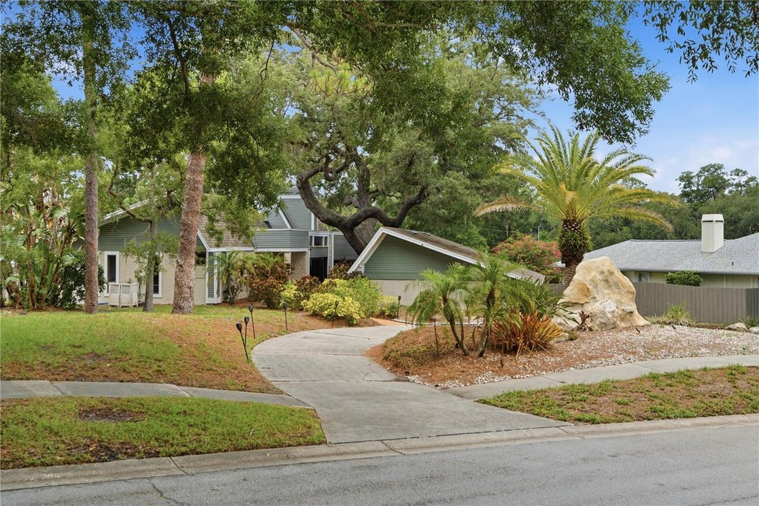 House in Palm Harbor, Florida, United States 1 - 18551536