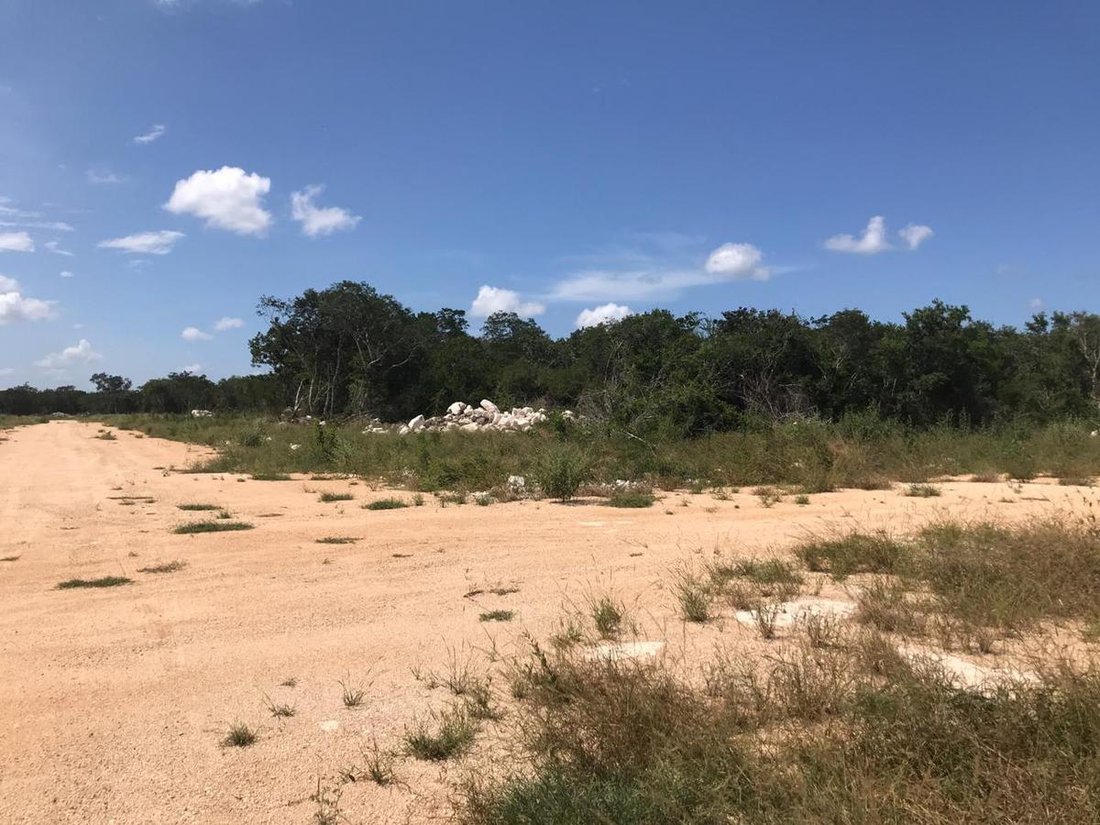 Land in Komchen, Yucatan, Mexico 4 - 18548979