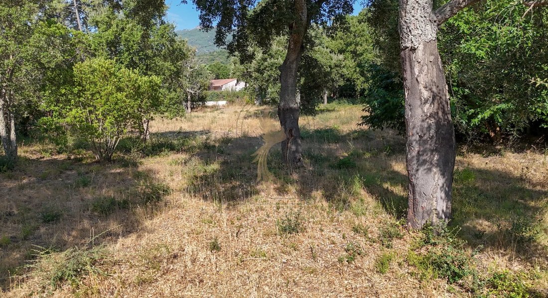 Land in Lecci, Corsica, France 4 - 18549667