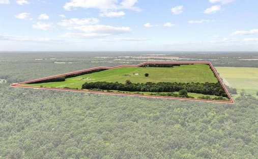 Land in Clarksville, Texas, United States 1