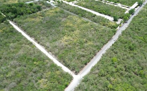 Land in Tamanche, Yucatan, Mexico 1