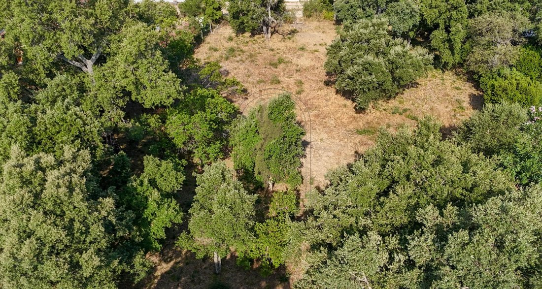 Land in Lecci, Corsica, France 1 - 18549667