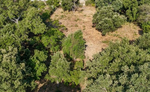 Land in Lecci, Corsica, France 1