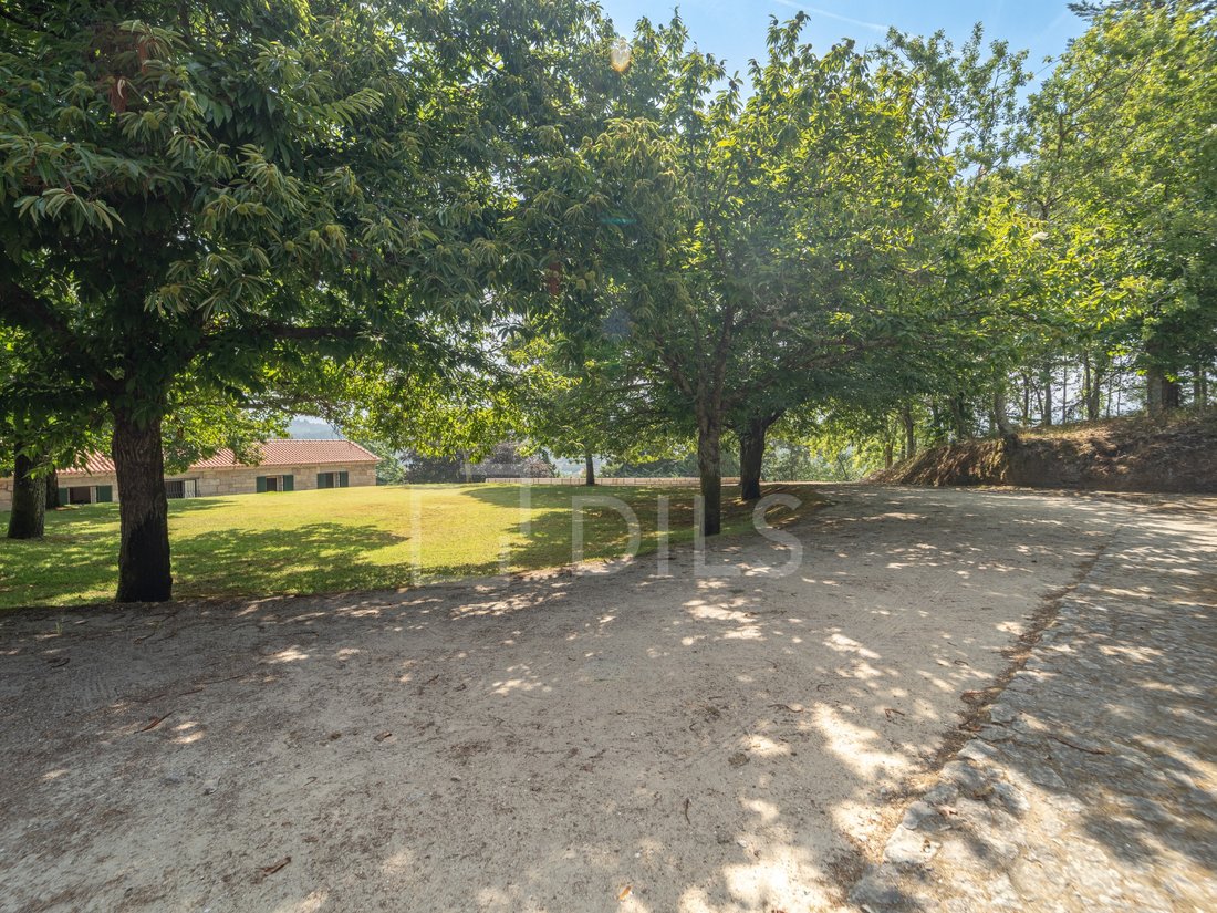 Finca in Santo Isidoro e Livracao, Porto District, Portugal 5 - 18549928