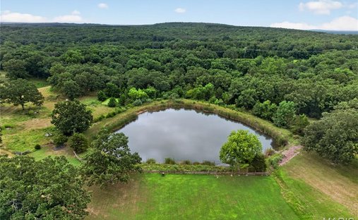 Farm Ranch in Waynesville, Missouri, United States 1