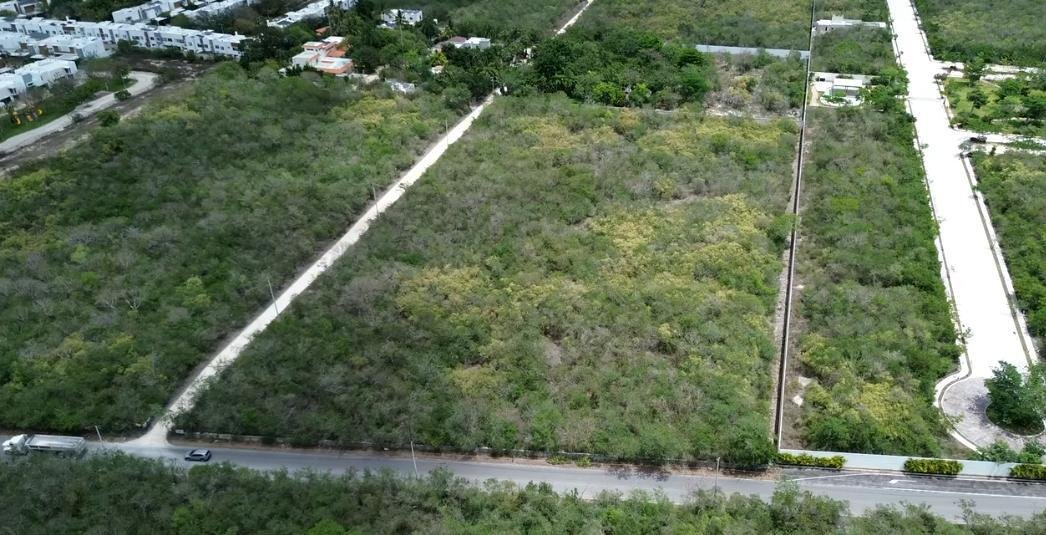 Land in Tamanche, Yucatan, Mexico 2 - 18549271