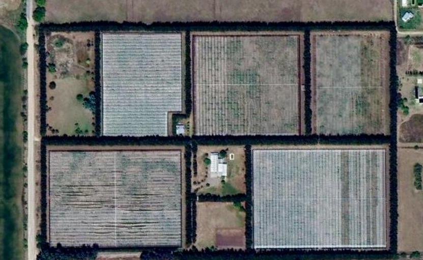 Land in Arana, Buenos Aires Province, Argentina 2 - 18549136