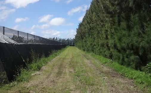 Land in Arana, Buenos Aires Province, Argentina 1