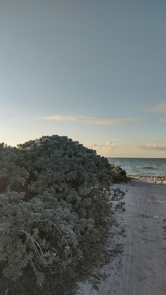 Land in Chicxulub Puerto, Yucatan, Mexico 3 - 18549110