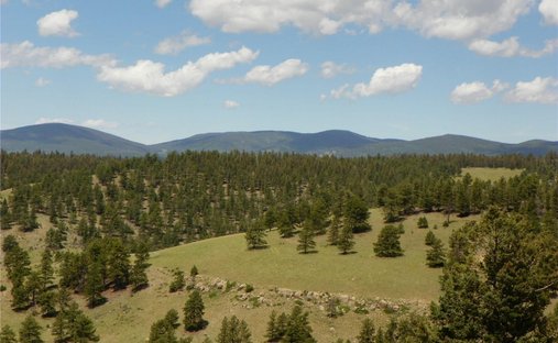 Land in Saguache, Colorado, United States 1