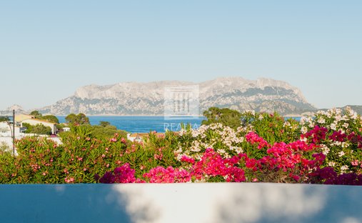 House in Olbia, Sardinia, Italy 1