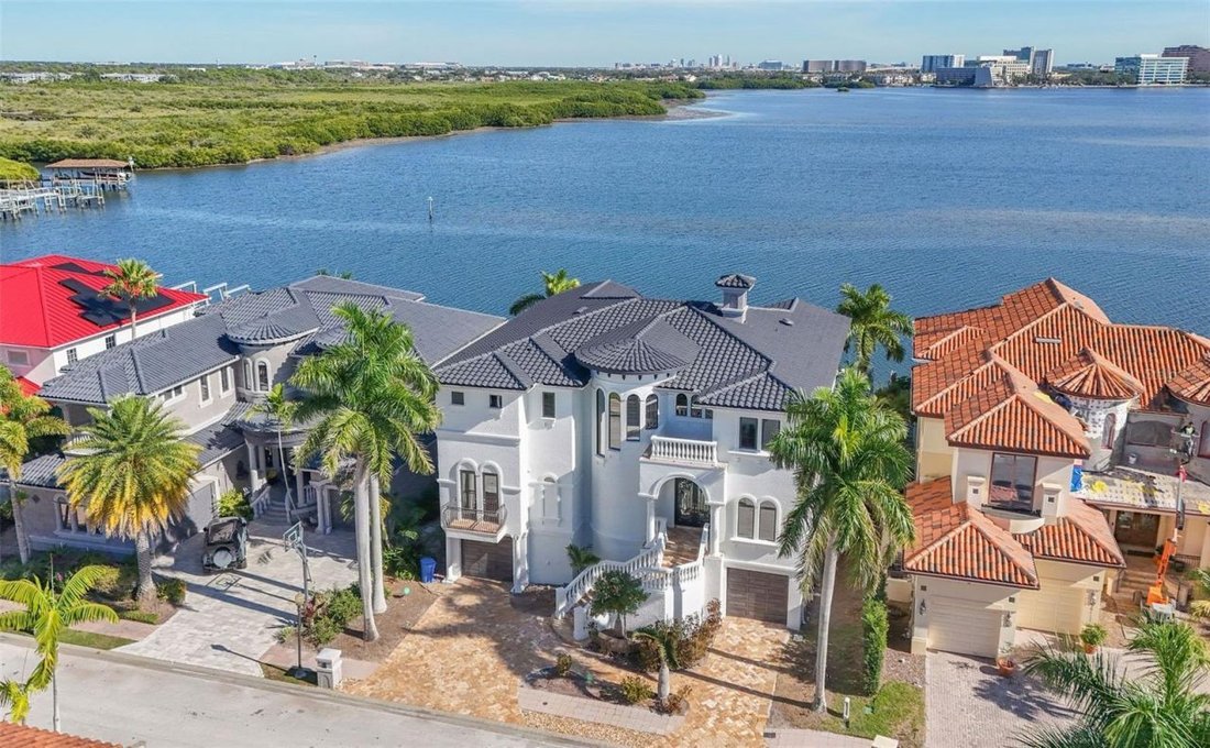 House in Tampa, Florida, United States 5 - 18554060