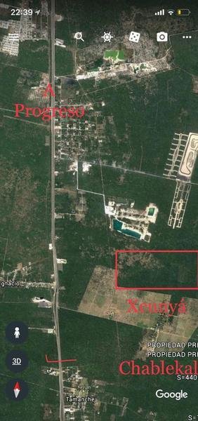 Land in Xcunyá, Yucatan, Mexico 4 - 18548973