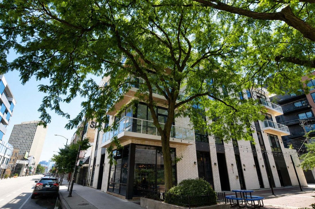 Condo in Chicago, Illinois, United States 2 - 18540413