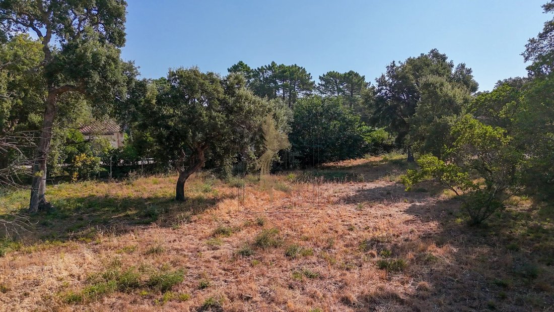 Land in Lecci, Corsica, France 3 - 18549667