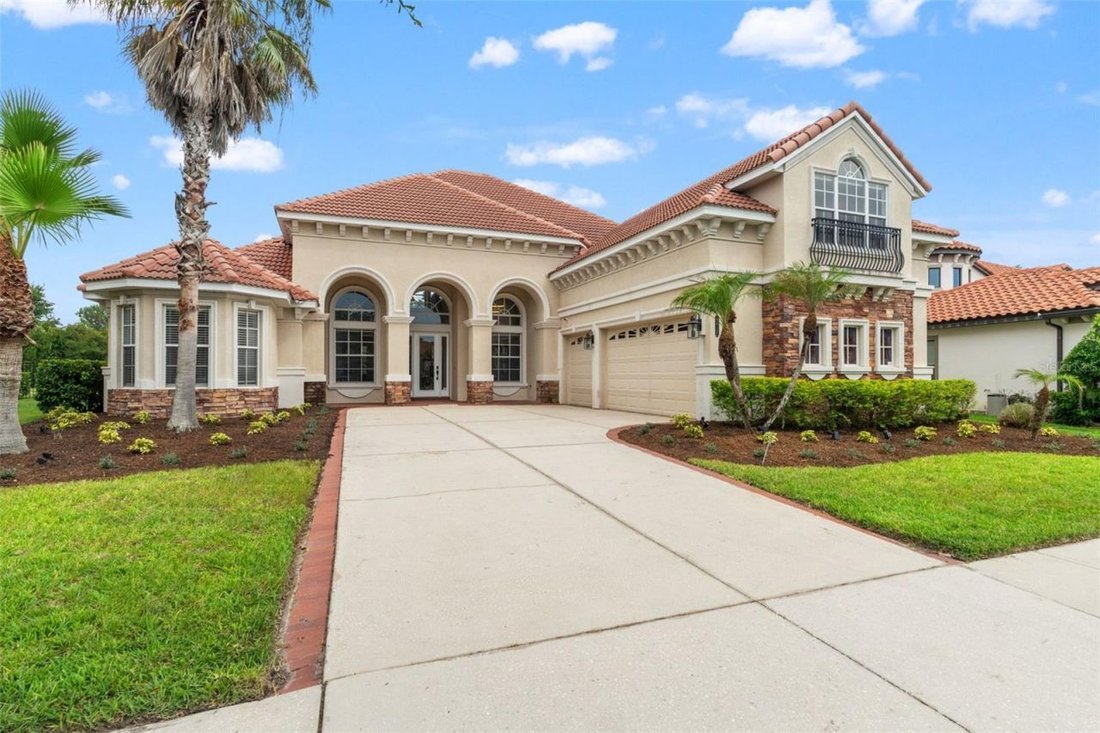 House in Tampa, Florida, United States 1 - 18554086