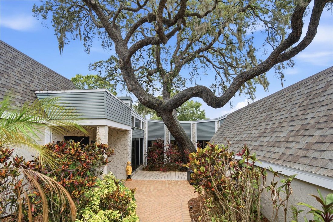 House in Palm Harbor, Florida, United States 5 - 18551536