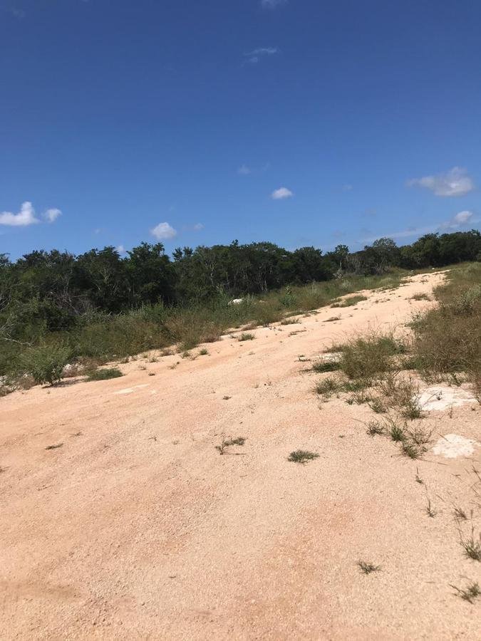 Land in Komchen, Yucatan, Mexico 3 - 18548979