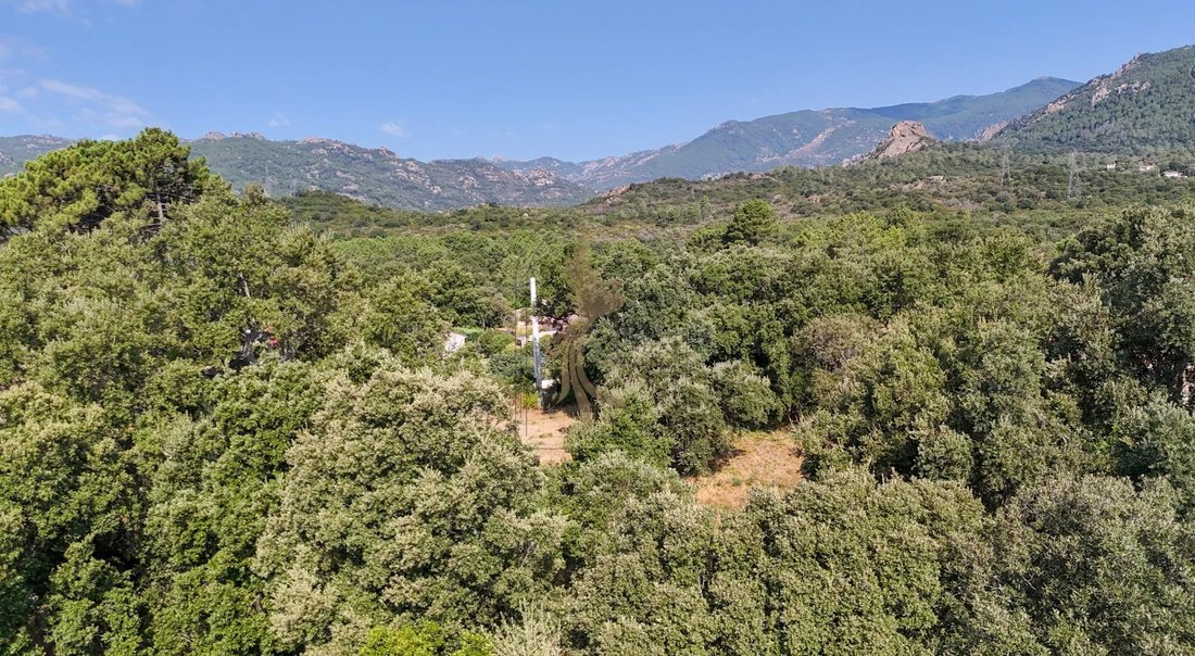 Land in Lecci, Corsica, France 2 - 18549667