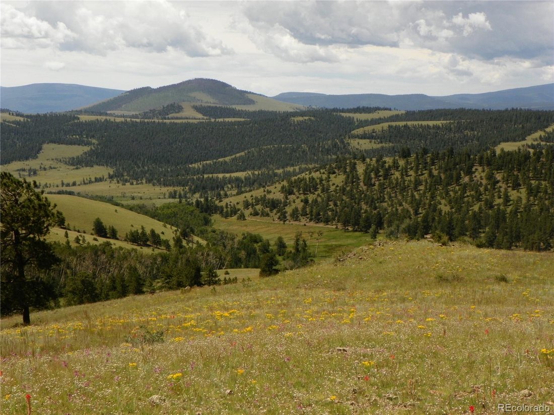 Terrain à Saguache, Colorado, États-Unis 5 - 18550745