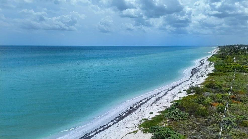 Land in San Benito, Yucatan, Mexico 3 - 18549269