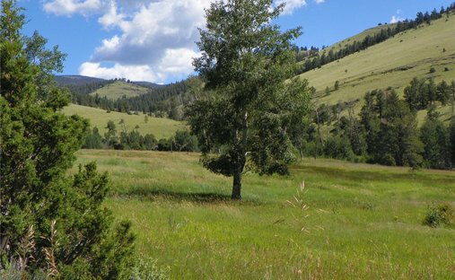 Land in Saguache, Colorado, United States 1