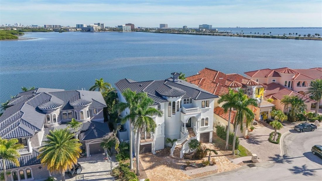 House in Tampa, Florida, United States 4 - 18554060