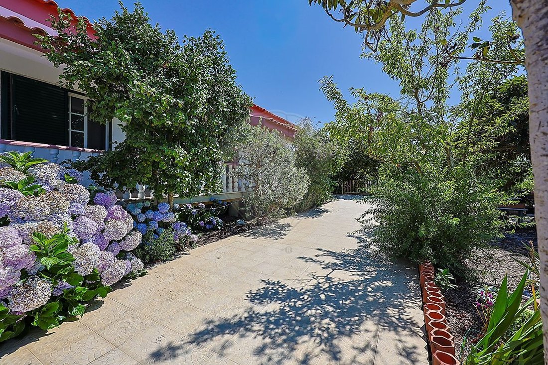 Finca in Pinhal Novo, Setubal, Portugal 3 - 18548906
