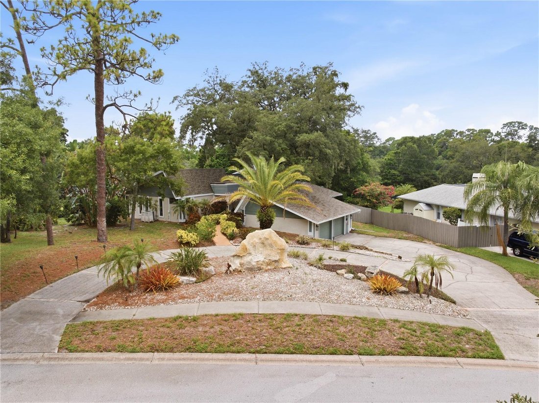House in Palm Harbor, Florida, United States 2 - 18551536