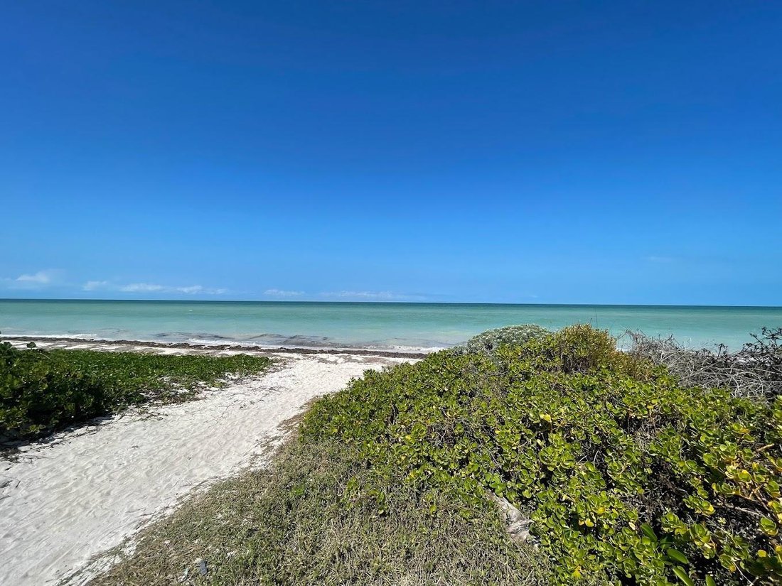 Land in Chicxulub Puerto, Yucatan, Mexico 2 - 18549110