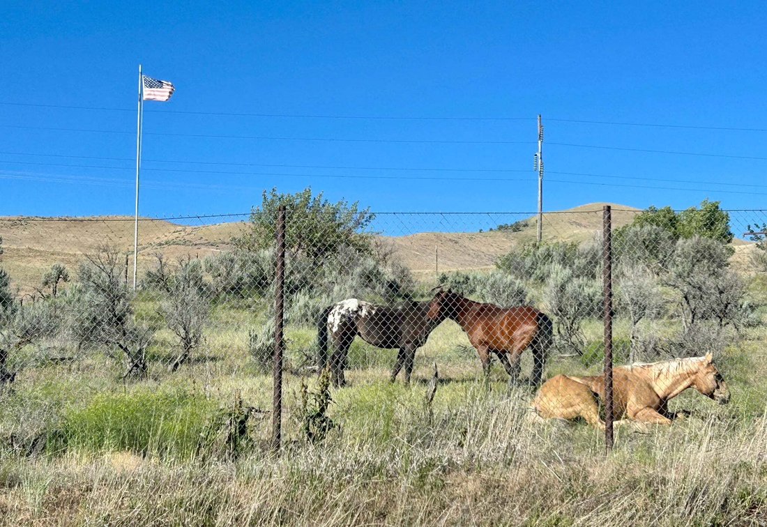 House in Morgan, Utah, United States 3 - 18551431