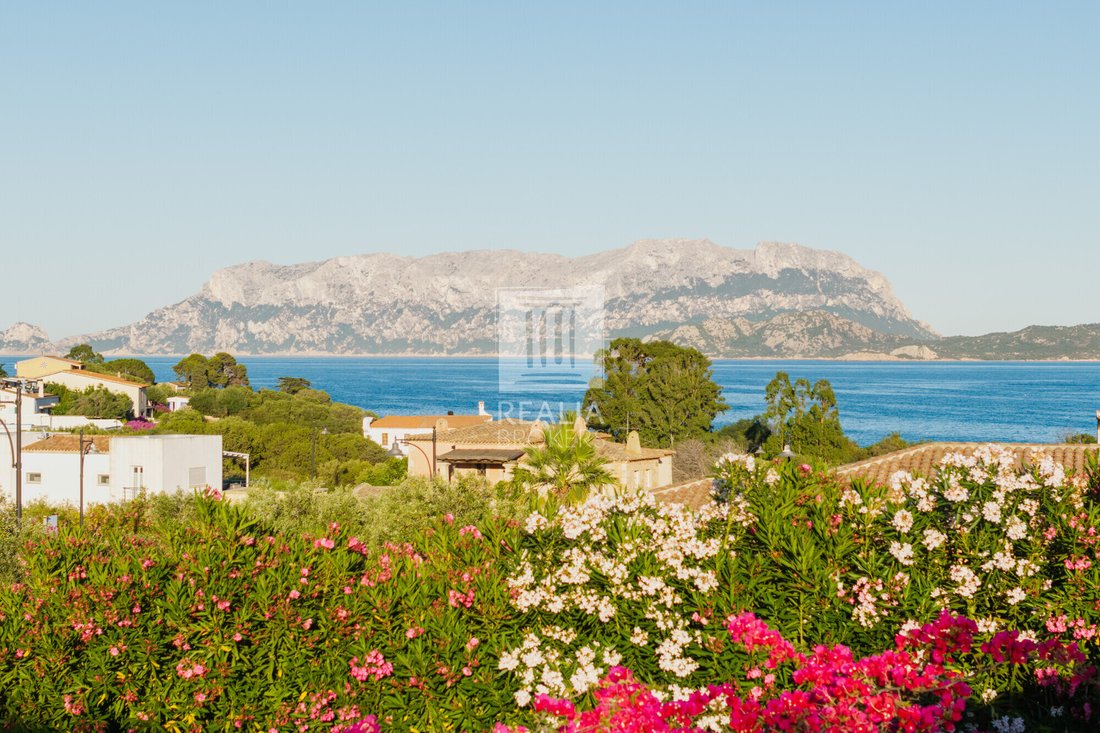 House in Olbia, Sardinia, Italy 3 - 18424098