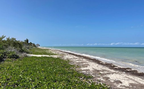 Land in Chicxulub Puerto, Yucatan, Mexico 1