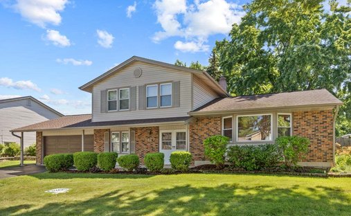 House in Elk Grove Village, Illinois, United States 1