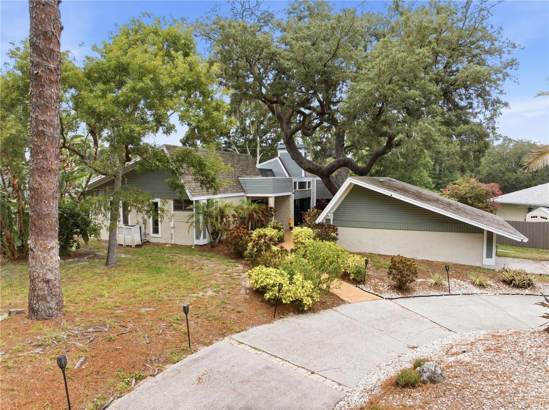 House in Palm Harbor, Florida, United States 4 - 18551536