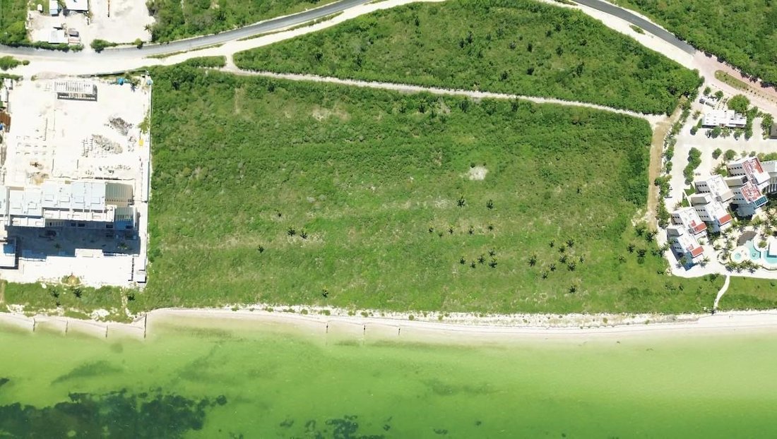 Land in Telchac Puerto, Yucatan, Mexico 2 - 18549221