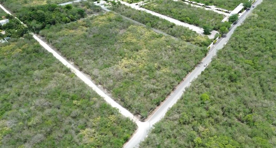 Land in Tamanche, Yucatan, Mexico 3 - 18549309