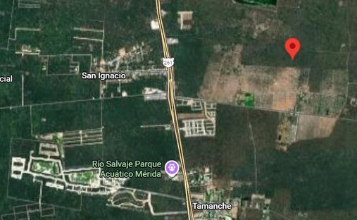 Land in Xcunyá, Yucatan, Mexico 1