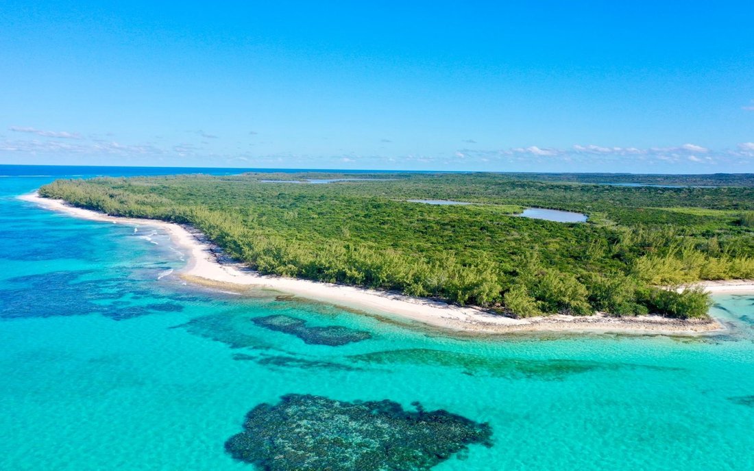Land in Orange Creek, Cat Island, The Bahamas 4 - 18551319