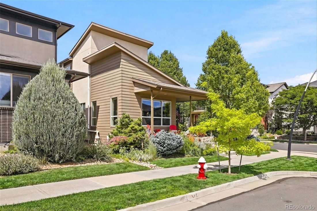 House in Denver, Colorado, United States 3 - 18545371