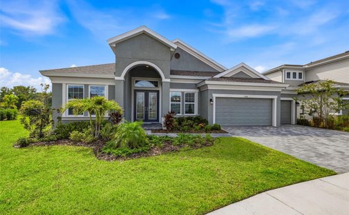 House in Ruskin, Florida, United States 1