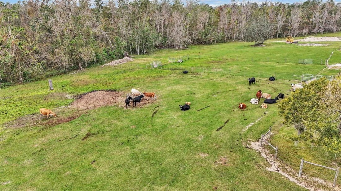 Farm Ranch in Lakeland, Florida, United States 5 - 17185210